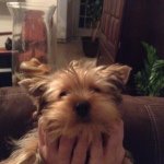 Olivia Binder Forbes - @felixlover1 - Instagram