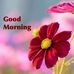 Olivia Blount - Facebook