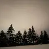 Olivia - @oliviaboone.1 - TikTok