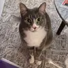Olivia, Teddy & Oatly - @oliviaandbrothers - TikTok