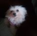 Olivia Bryant - Facebook