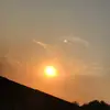oliviabuckman505 - @livspammzzzzzxx - TikTok