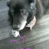 Olivia Buist - @oliviabuist811 - TikTok