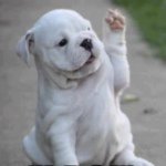 Olivia Bumgarner - @sunny_you_funny - Instagram