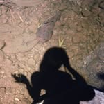 Olivia Sabella Burr - @olivia__burr - Instagram