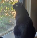 Olivia Byers - Facebook