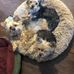 Olivia Rose Cairns - Facebook