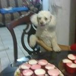 Olivia Castañon Camarillo - @castanoncamarillo - Instagram