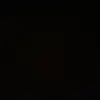 oliviacapone - @oliviacapone - TikTok
