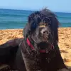 OLIVIA - @oliviaacarneyy - TikTok