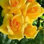 Olivia Casarez - Facebook