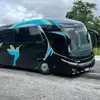 Olivia.Casárez - @giselosmk8t - TikTok