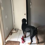 Liv - @olivia_casper_pria_piglet - Instagram