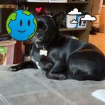 Olivia Catalano - Facebook