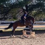 Olivia Catalano - @upperblackeddy.equestrian - Instagram