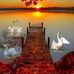 Olivia Centeno - Facebook