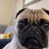Olivia Chille - @olivia.chille - TikTok