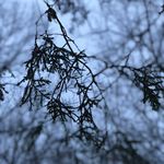 Olivia Cline - @capture__the.moment - Instagram