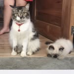 Olivia and Coco - @olivia.coco_ - Instagram
