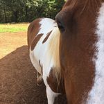Olivia Compton - @woof60 - Instagram