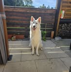 Olivia Conte - Facebook