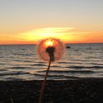 Olivia Corbett - @daily_photo_challenges - Instagram
