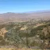 Olivia coronado - @olivia.coronado31 - TikTok