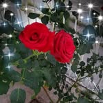 Olivia Corrales - @corrales2867 - Instagram