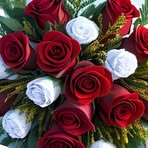 Olivia Corrales - Facebook
