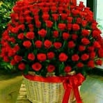 Olivia Cosio - Facebook