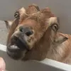 oliviacotter149 - @oliviacotter149 - TikTok