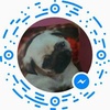 Olivia couchman - @livs0912 - TikTok