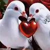 Olivia Coy - @olivia.coy1 - TikTok