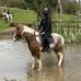 Olivia Coyte - Facebook