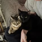 Olivia - @olivia.g.craycraft - Instagram