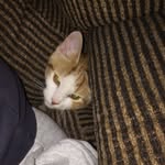 Olivia_crouse9 - @olivia_crouse9 - Instagram