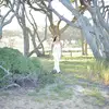 olivia - @oliviacrumpller - TikTok