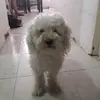 Olivia Cuenca - @123olivia01 - TikTok