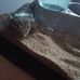 Olivia Daigle - Facebook