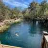 Olivia.daily - @oliviaa.daily - TikTok