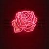 oliviadeluca325 - @oliviadeluca325 - TikTok
