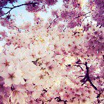 Olivia🌸🌹🌺 - @olivia_de_melo - Instagram