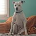 Olivia Dimmer - Facebook