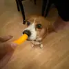spamm - @olivia._.dodge - TikTok