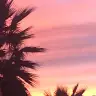 Olivia Dolphin134 - @oliviadolphin134 - TikTok