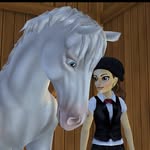 Olivia Dolphinwatcher - @oliviadolphinwatcher - Instagram