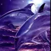 🐬Olivia🐬 - @olivia.dolphin - TikTok