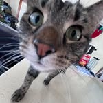 olivia.the.dolphin - @olivia.the.dolphin - Instagram