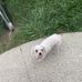 Alivia Dowell - Facebook
