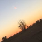 Olivia Dunkley - @olivia_dunkley_ - Instagram